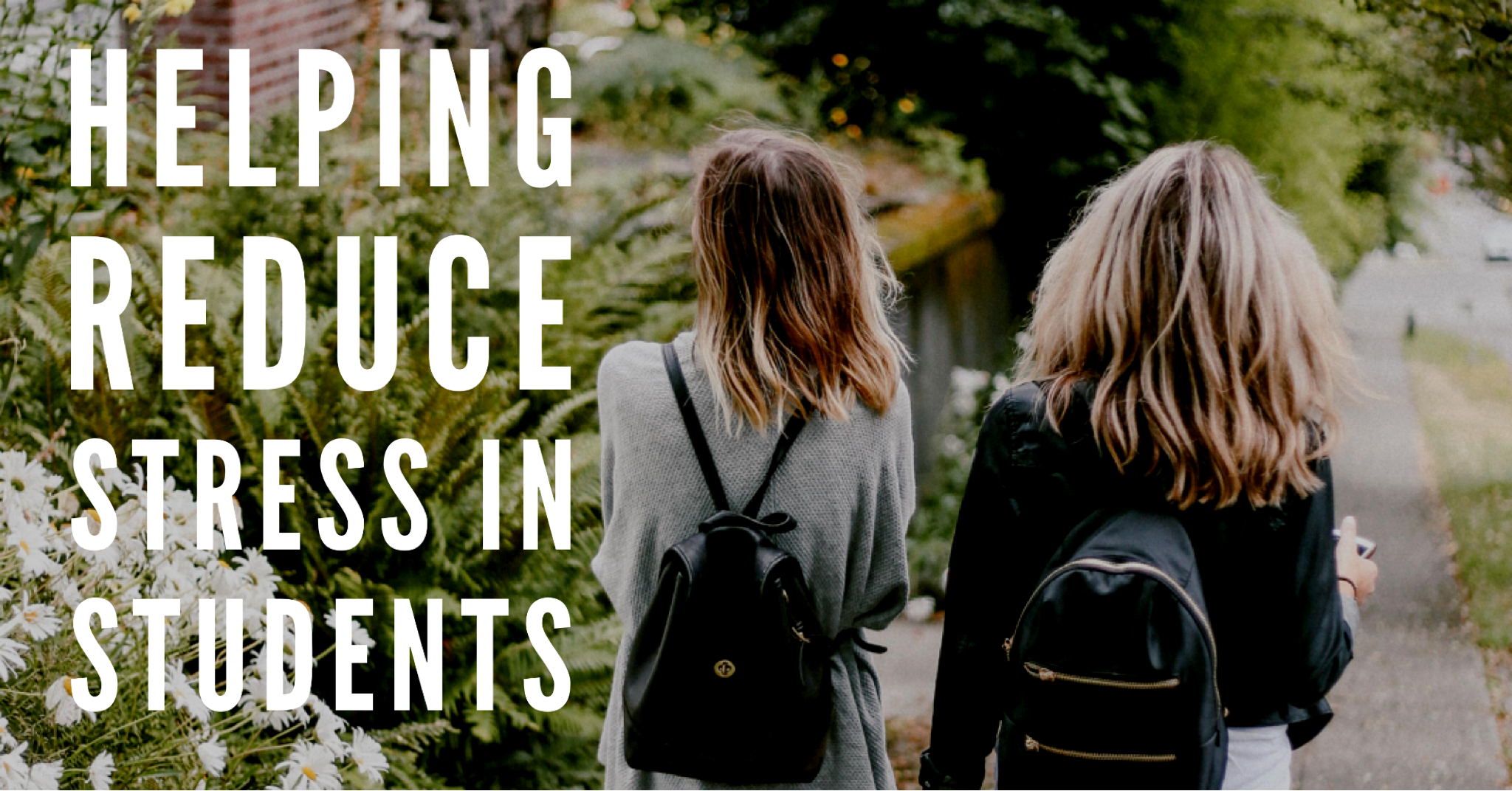 Reducing student stress